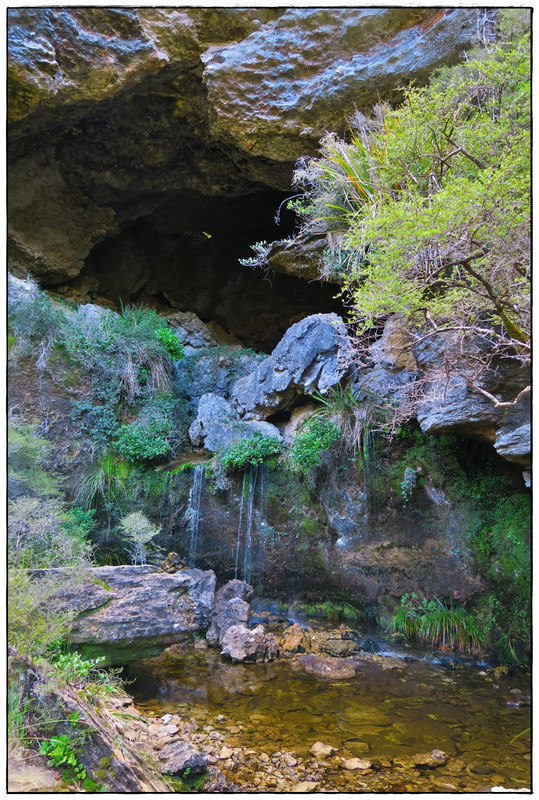 Kahurangi NP: Heaphy Track (Navidad 2020, III) - Escapadas y rutas por la Nueva Zelanda menos conocida (20)