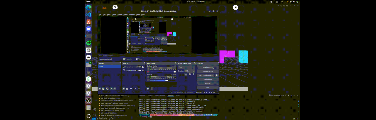 Demonstration of soma pieces. The various geometries are now in the 3D environment.