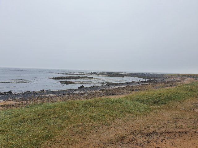 DIA 7: DE REYKJAVIK A LA PENINSULA DE SNAEFELLSNES (HELLNAR) - Islandia en tiempos de Covid. Y con Camper! (7)