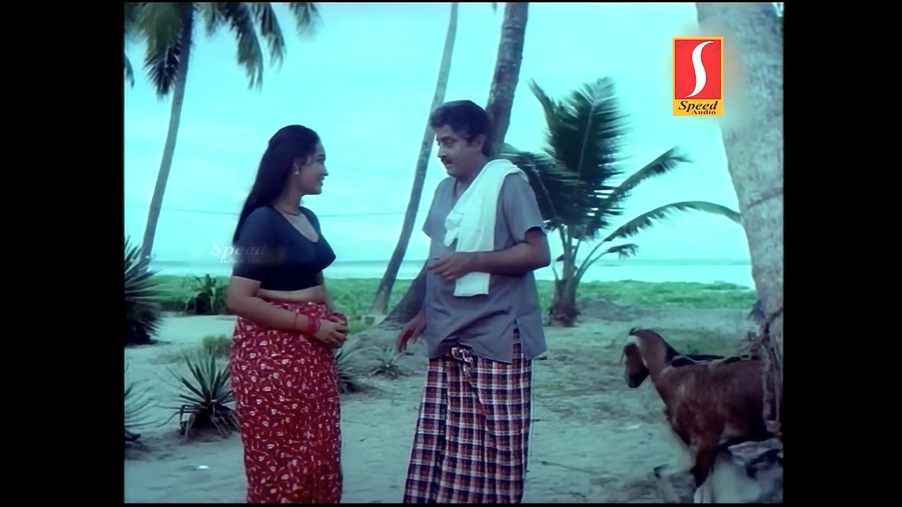 Beautiful Chithra,Priya hot Scenes in blouse from Rajavazhcha.mp4_snapshot_03.18.360