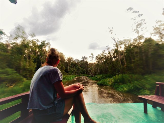 Indonesia 2023 (Borneo - Bali - Gili) - Blogs de Indonesia - --DÍA 4 (20 junio): Segundo día en Borneo (7)