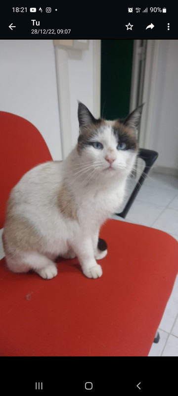 Screenshot_20230120-182147_WhatsApp