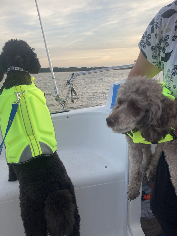 2448926B-C5EF-4D4E-B97A-BD7FF644AAD1