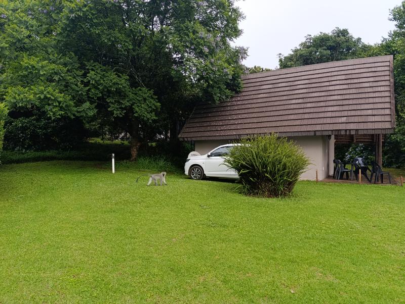 Такая близкая Африка. (ЮАР. 22 дня и 4200 км. Ноябрь-Декабрь) Такая близкая Африка. (ЮАР. 22 дня и 4200 км. Ноябрь-Декабрь)