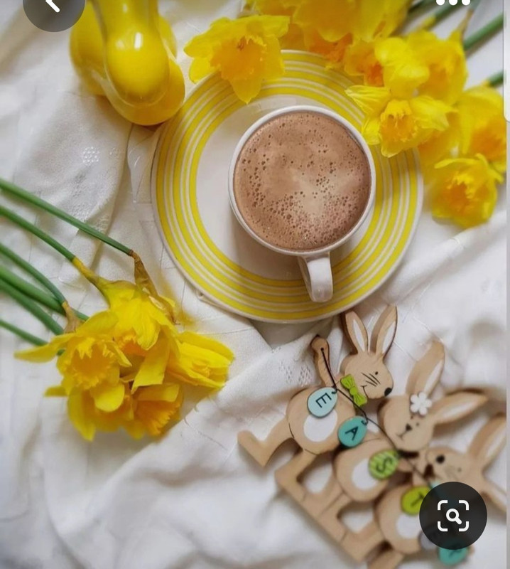 Screenshot_20230413_231749_Pinterest