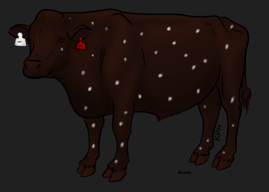 Bull-Truffke.png