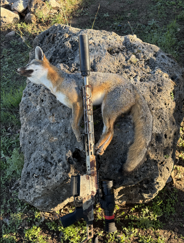 Screen Shot 2024-12-14 at 1.24.55 PM