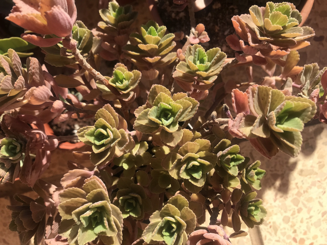 C8E59A23-8097-4444-922D-0B7FF37F1BF3