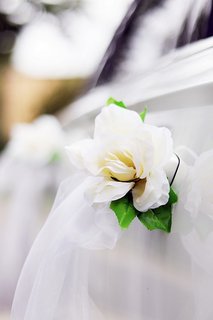Image d'une fleur