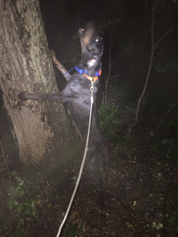 AE78D6FF-289D-41D5-8221-B3DD109ED606