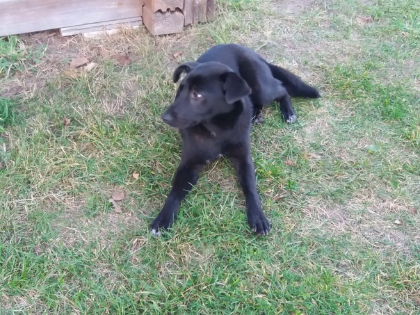 01868E02-3B7F-44E4-B3EB-CD412FC34528