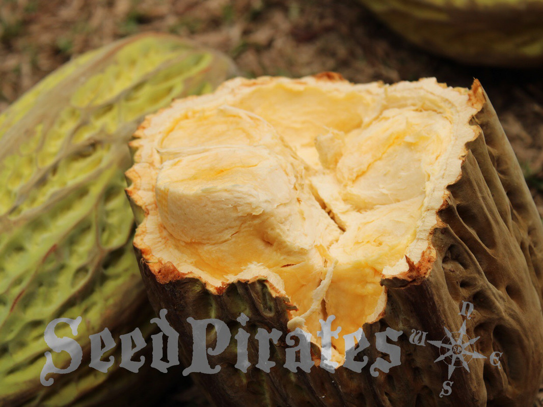 A1DE6DF6-9067-40B4-9D8C-5C099B8C8545