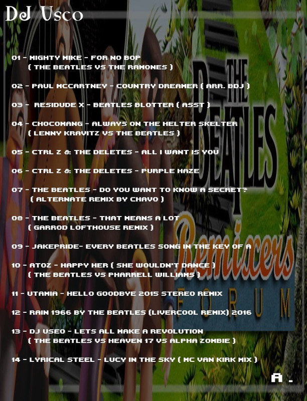 djuseo-BRG-mix-back-a.jpg
