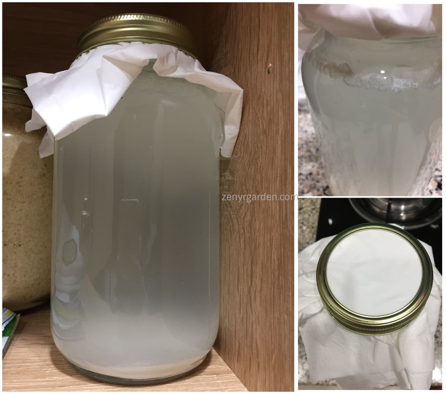 keep-rice-wash-bottle-in-warm-dark-place.jpg