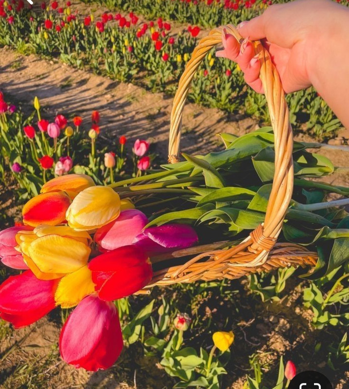 Screenshot_20240405_204626_Pinterest