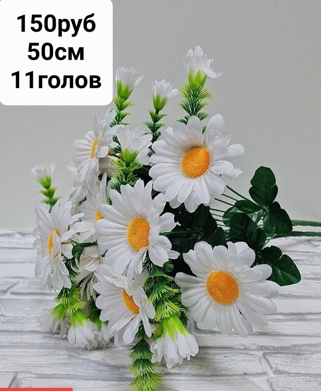https://i.postimg.cc/9fvL7Xy5/IMG-20230221-232420.jpg