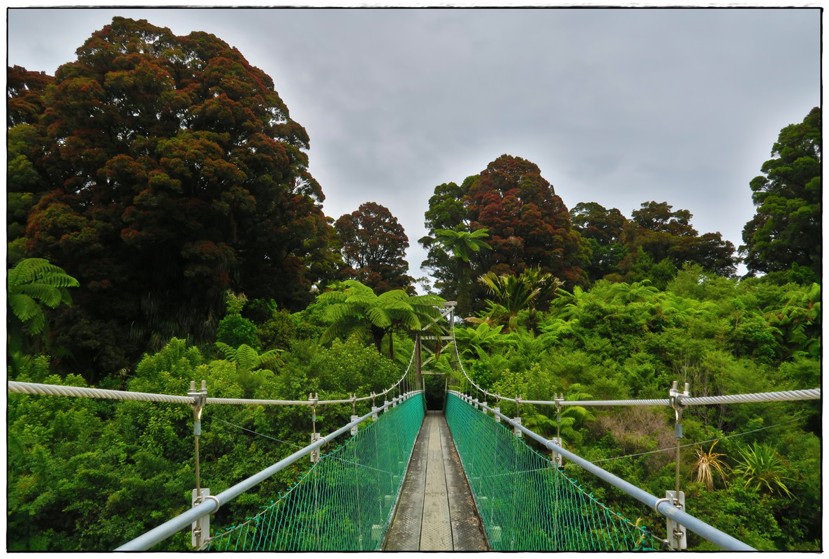 Kahurangi NP: Heaphy Track (Navidad 2020, III) - Escapadas y rutas por la Nueva Zelanda menos conocida (33)