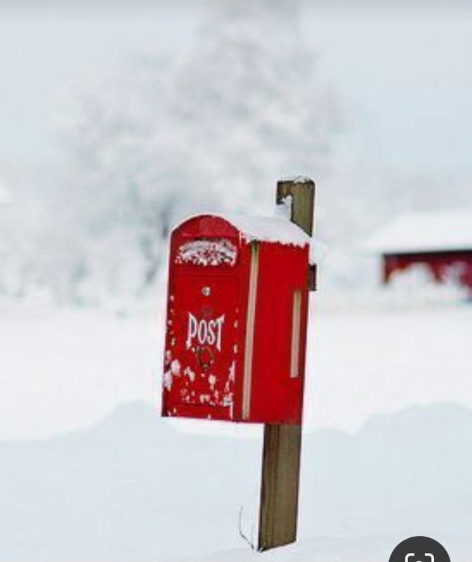 Screenshot_20231224_213802_Pinterest