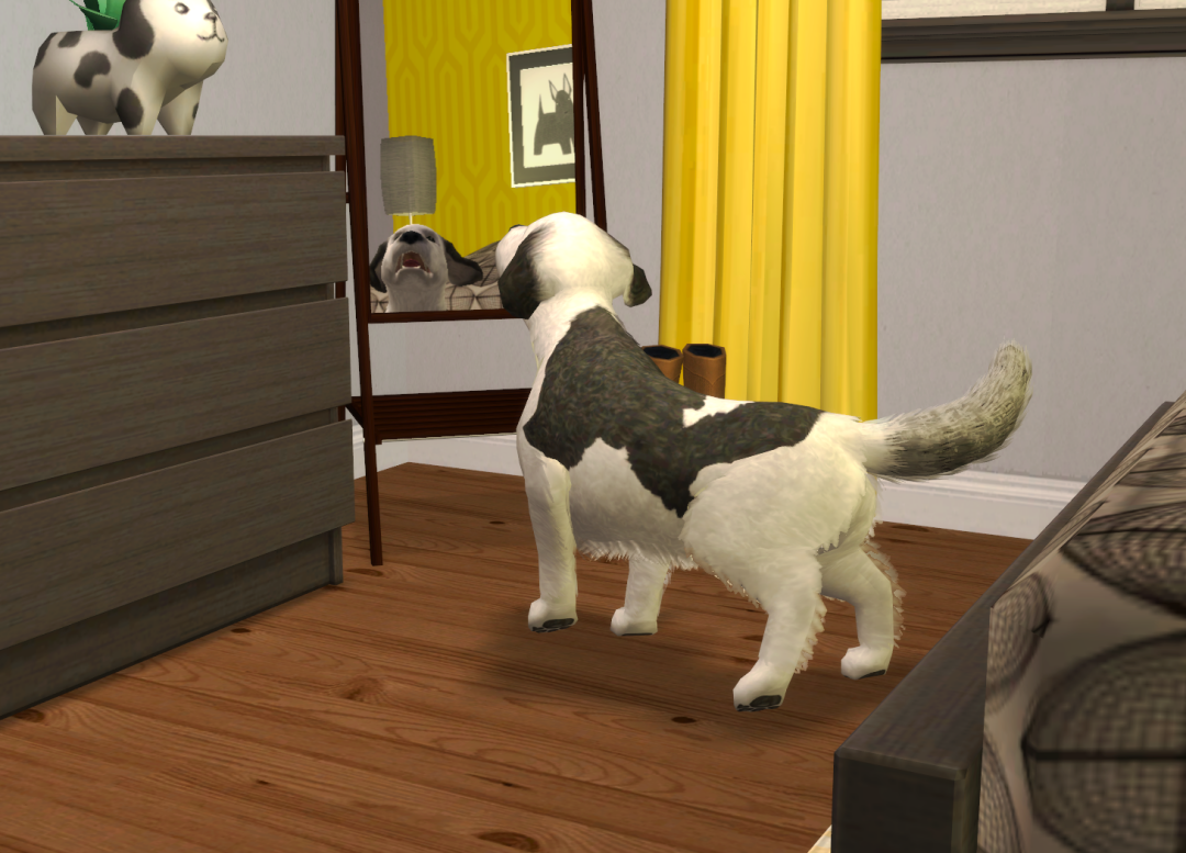 Sims2-EP9-RPC-2024-04-21-20-39-17-75