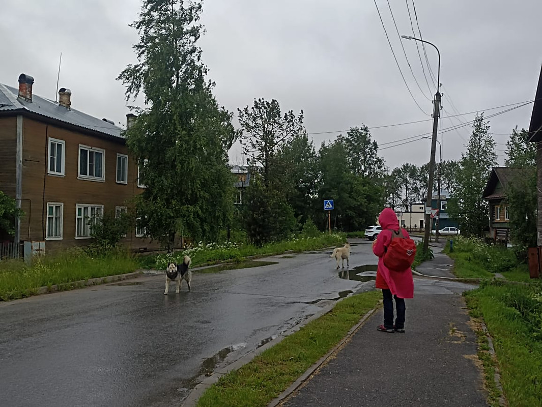 https://i.postimg.cc/9fwdbsgY/IMG-20250620-WA0022.jpg