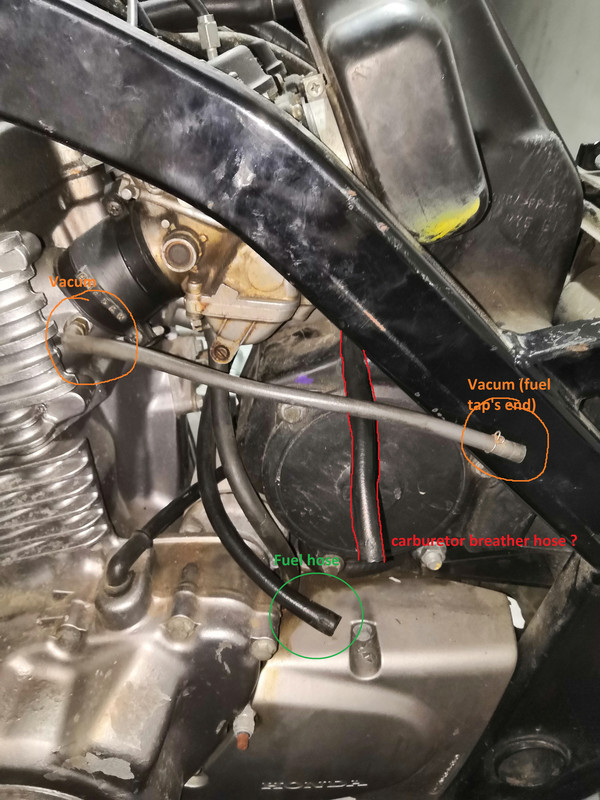 IMG_20220303_184018-bis