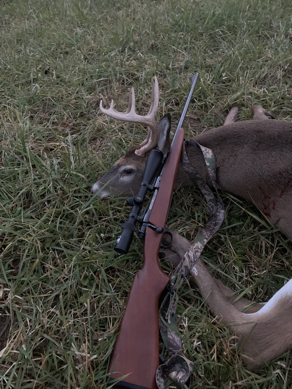 4E634664-D59C-4115-A8D0-C71002551190