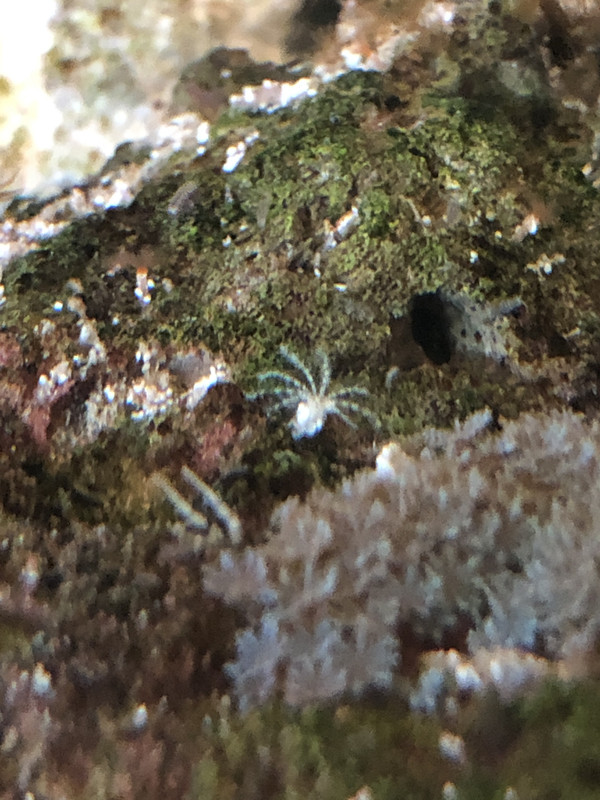 D0F7E4AB-887F-4E1D-BCB0-D37963AAA047