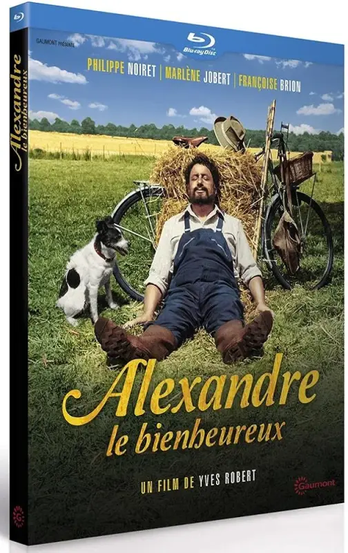 613GuMuadwS._AC_UF1000,1000_QL80_FMwebp_