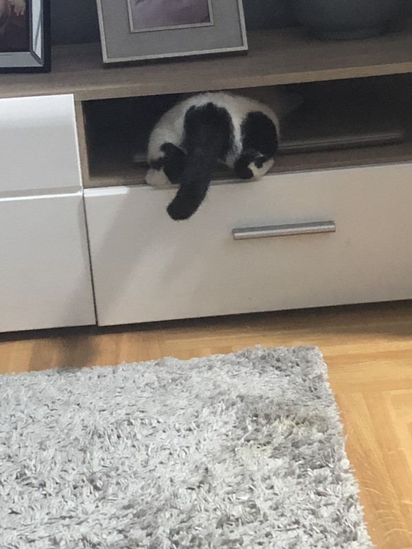 30CE9399-8A72-4C44-975F-24E9461425C7