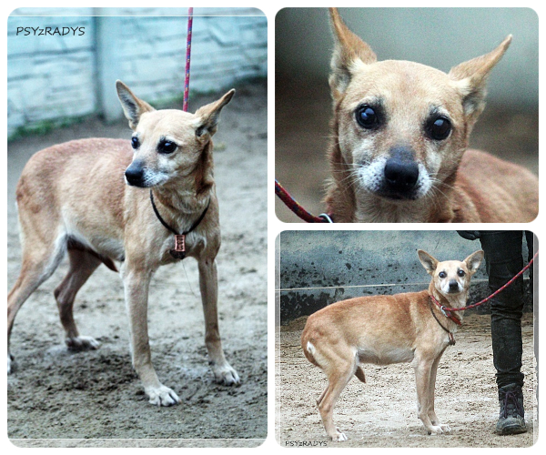 BeFunky-collage (21)