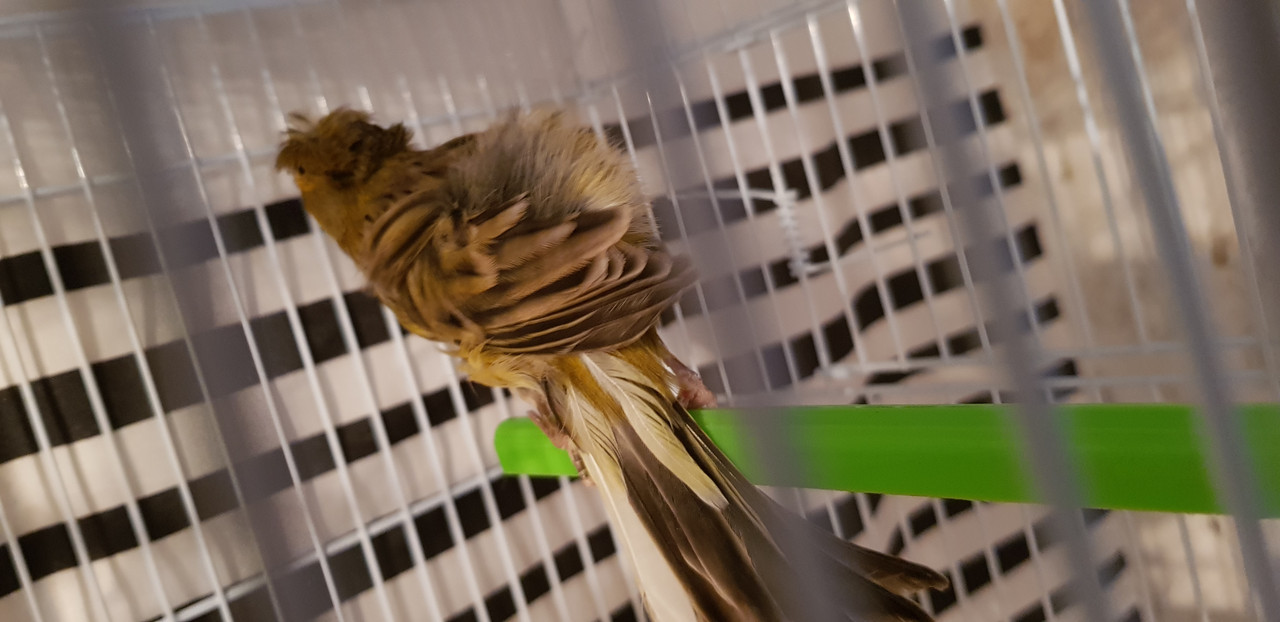 ٢?١٨١١١٥_١٥٤٤٤٦