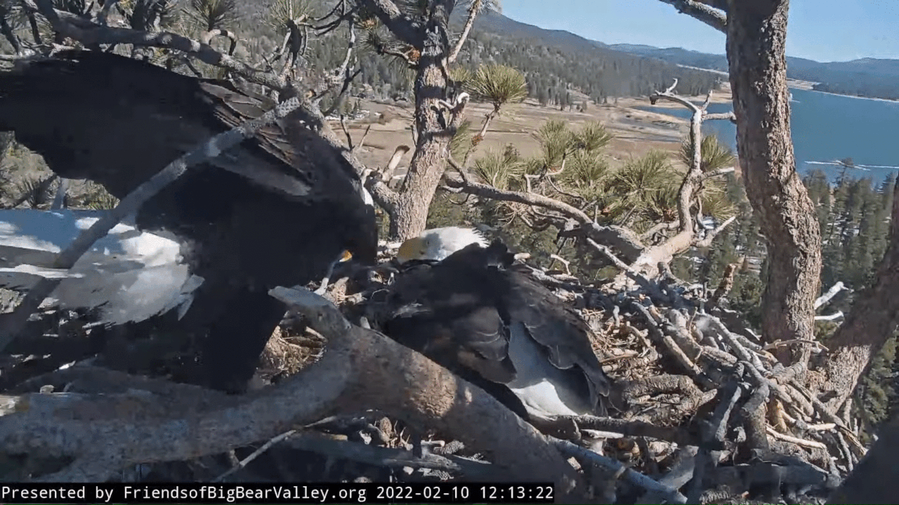 Webp.net-gifmaker (6)