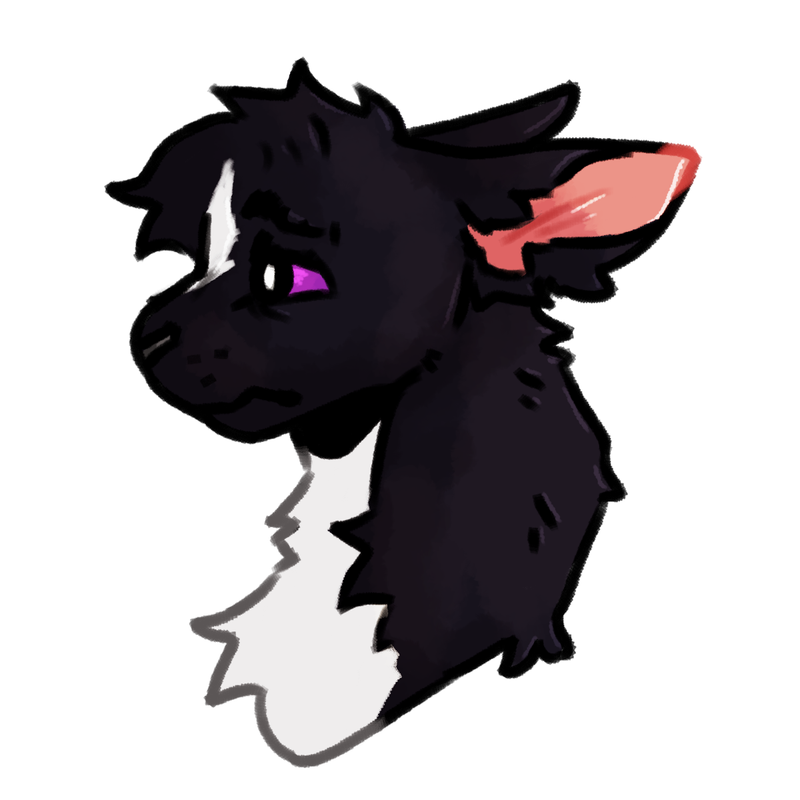 flciker.png