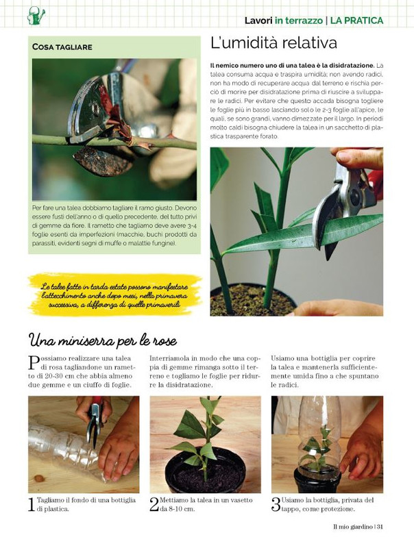 Il Mio Giar Ago-Set 2023 (4)