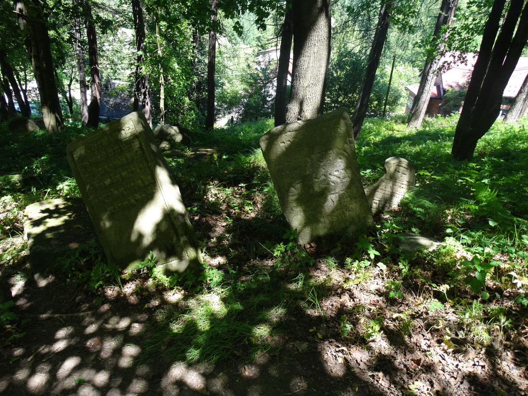 099 - DSC01263 (TomaszK)