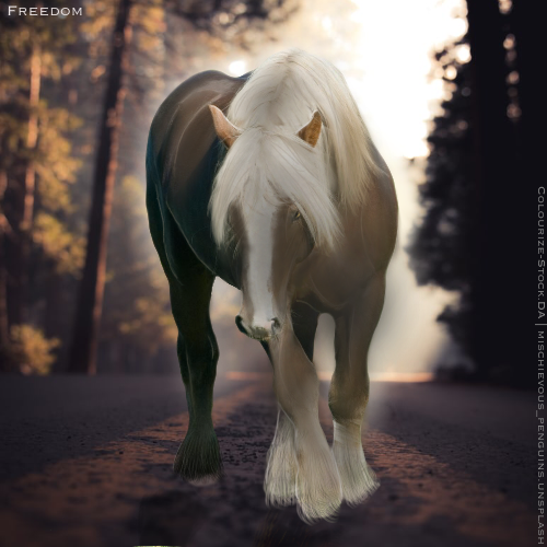 755C1EDD-0C13-4998-A6FE-39245A7F2E1B