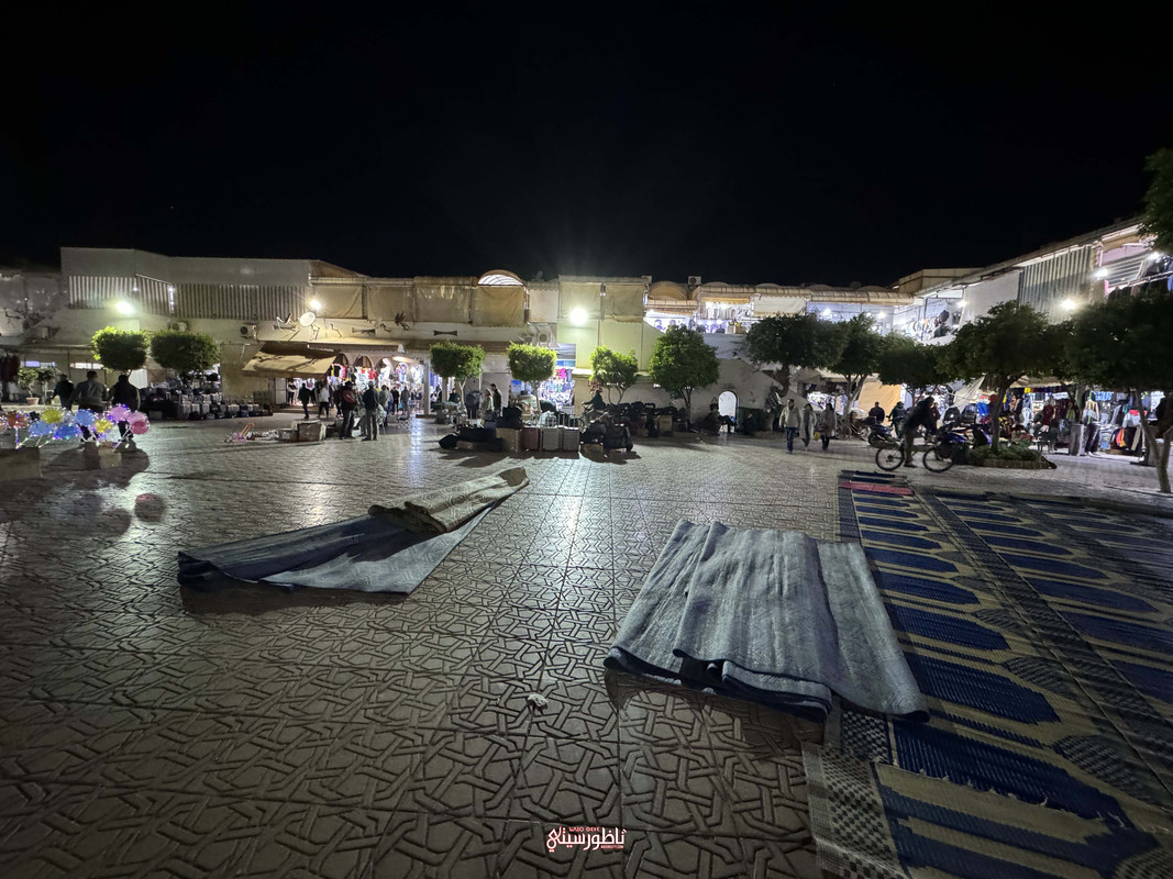 IMG-6268