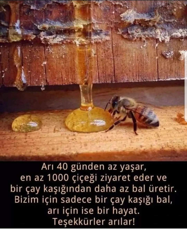 FB_IMG_1674512569965