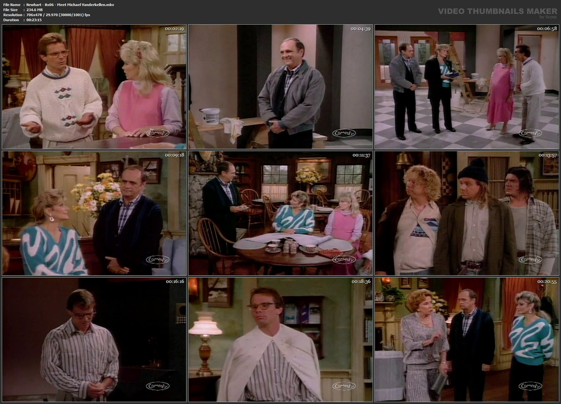 Newhart - 8x06 - Meet Michael Vanderkellen.mkv