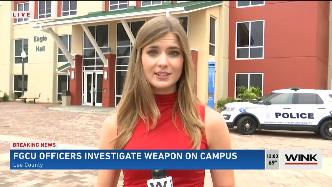 01.23 - 17.00.00 - The WINK Noon News  ᴺᵉʷ. Midday news update..ts_snapshot_09.31.703