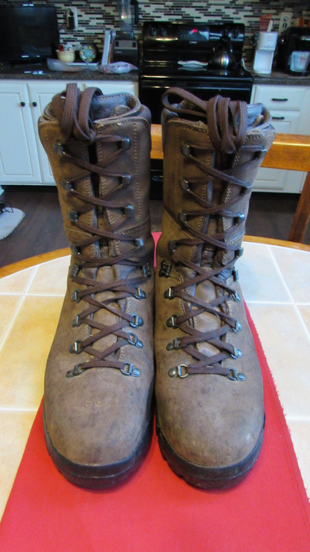 cabela's hunter boots