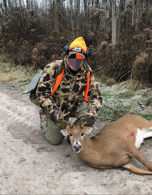 Deer 2023