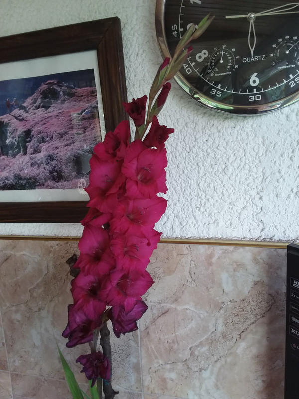 20180628_181834