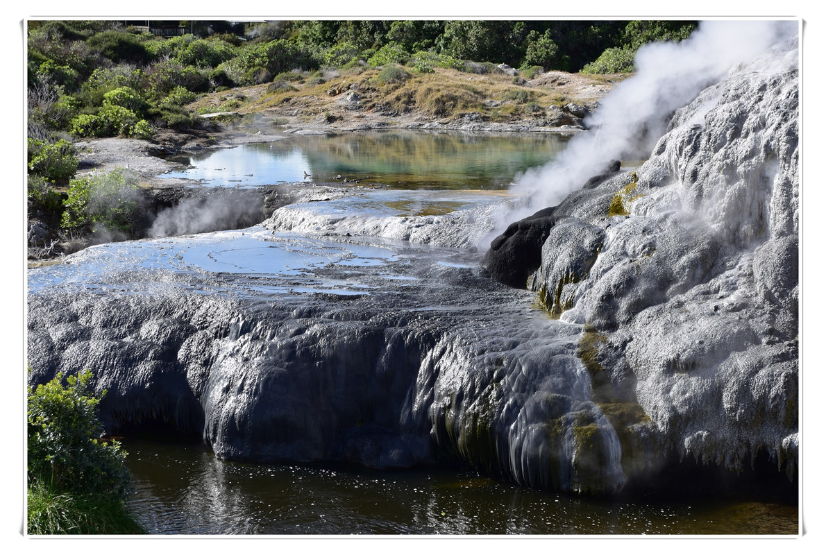 Cosas que hacer en Rotorua - Escapadas y rutas por la Nueva Zelanda menos conocida (6)