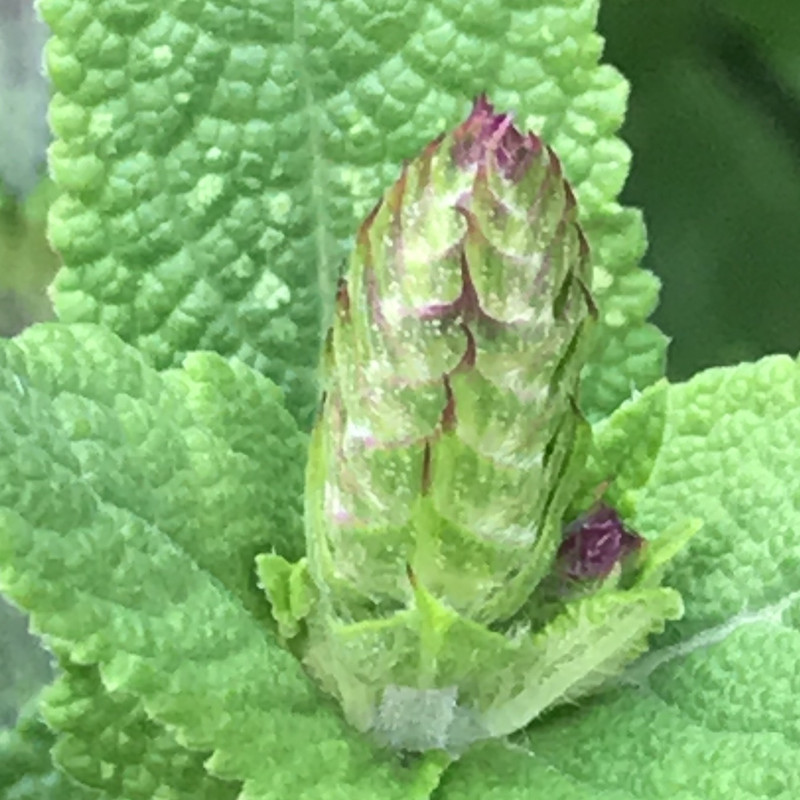 25468747-7588-4EA7-8A84-0CA3357F4E40