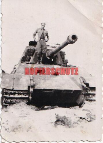 Panzer VI Königstiger SS-Panzer-Abteilung