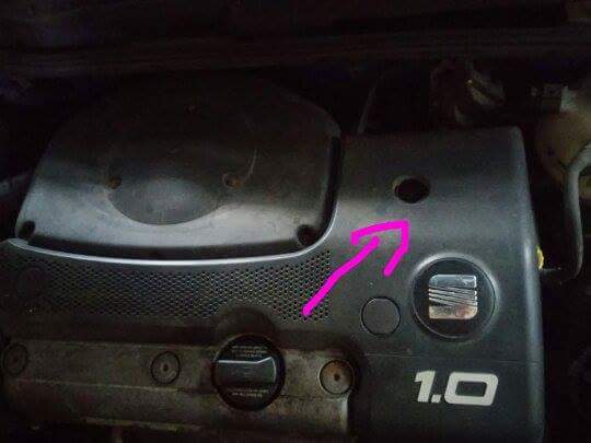 received_982233105207422