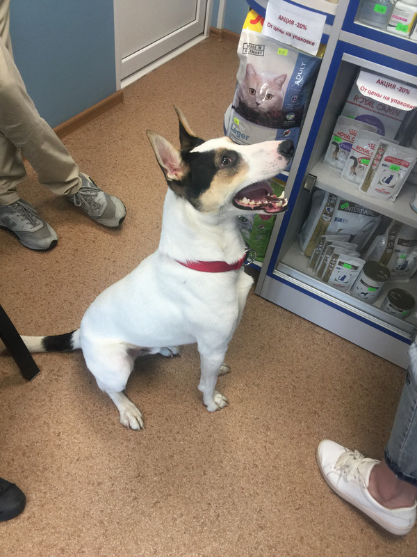 01919BB3-62FB-4425-8A6A-B4E1BAF4E4F4