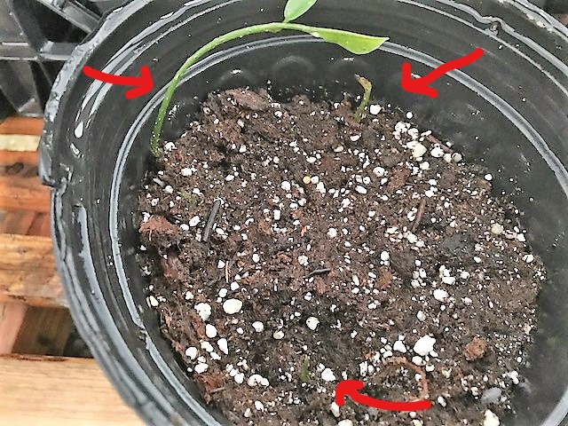 InkedIMG_4288 (002)_LI