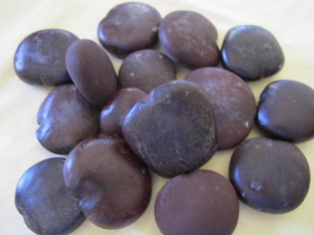entada-gigas-seeds